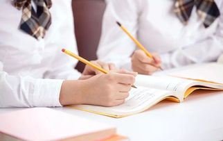 還在擔(dān)心上學(xué)難？專業(yè)教育咨詢助您輕松應(yīng)對